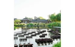 2026孝感夏季团建新篇：贝塔团建以‘长安的荔枝’解锁国风团建新体验